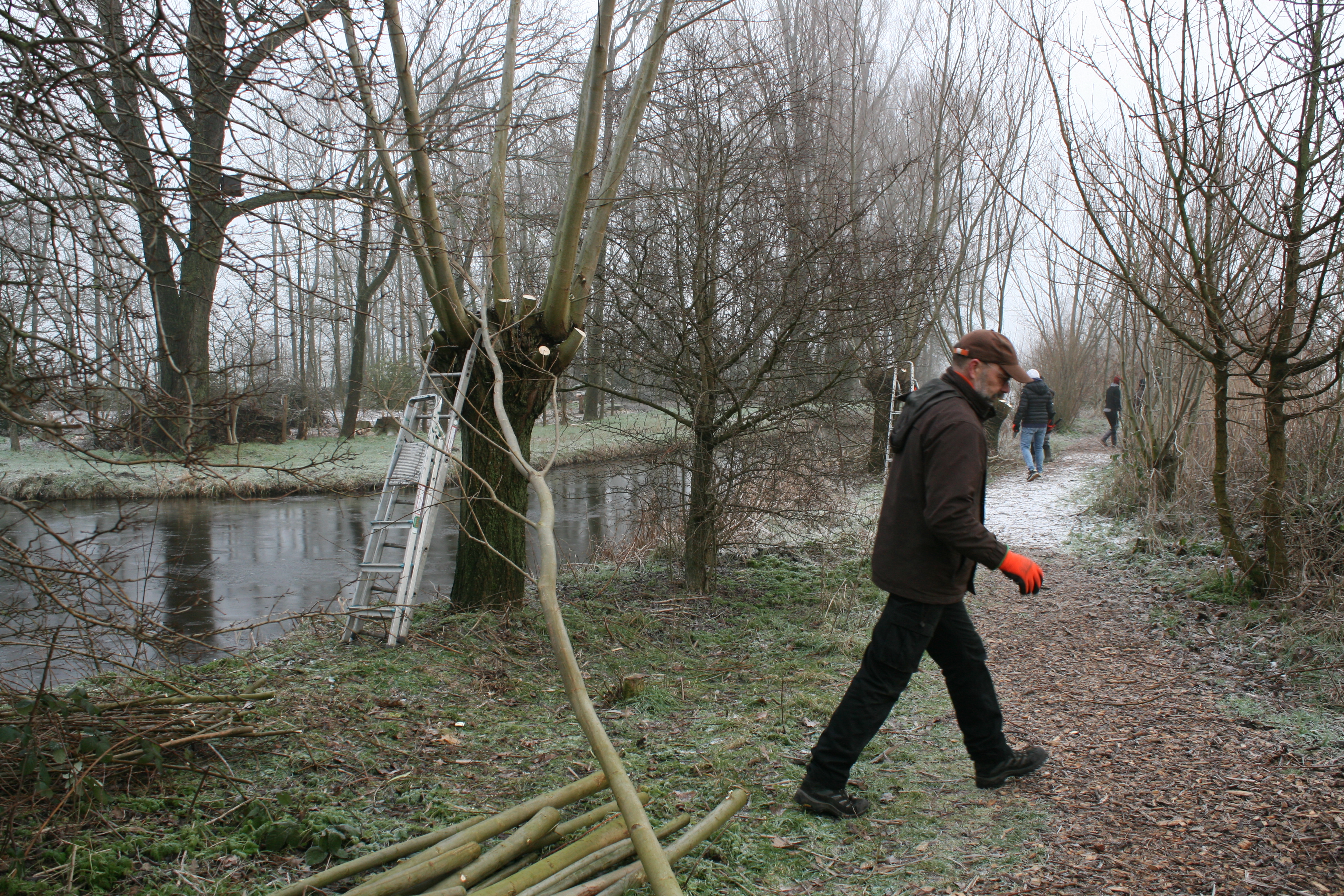 Knotploeg (Spookverlaat). Foto van Margot Klingers.